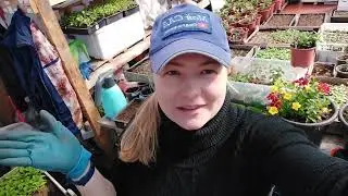 СМС почему без ответа? Сообщение для соц сетей: ВК и Одноклассников.
