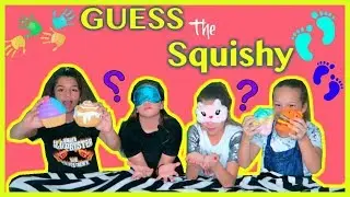 GUESS THE SQUISHY CHALLENGE 