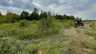 Расчистка участка от опиленного и заросшего подлеска