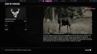 Red Dead Redemption II  Saison- Episode4 Cow Boy du far-West