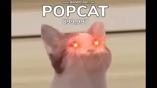 POPCAT(АЙМ ОЛВЭЙС КАМБЭК)9
