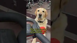 My dog taught a spin class!