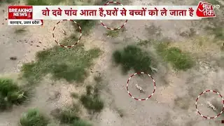 Bahraich में आदमखोर भेड़ियों का आतंक, ड्रोन से भेड़ियों की तलाश में जुटा वन विभाग | UP News | AajTak