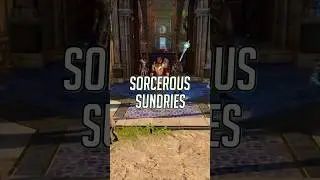 Everything You Don’t Want to Miss in Sorcerous Sundries | BG3 
