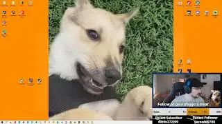 Dauntless LIVESTREAM | 05.04.2022