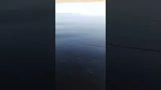 ледокол на пвх