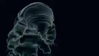 Tardigrade final render