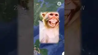 😱I Found Real 100 GIANT GORILLA 🤯on Google Maps and Google Earth#viral #shots #buddhadeb