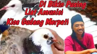 TUBRUK JANDA MONTOK @GUDANG MERPATI KEMBANGAN JAKARTA BARAT