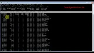 Top command in Linux
