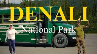 Denali National Park: The Ultimate Travel Guide