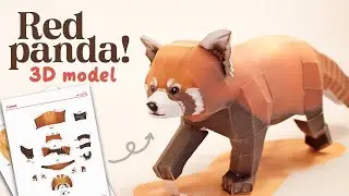 3D Paper Red Panda Model (canon papercraft)
