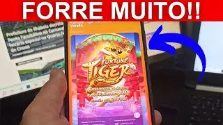 TIGRINHO - JOGO DO TIGRE QUE GANHA DINHEIRO -JOGO DO TIGRE APOSTAS - MELHOR CASA PARA FORTUNE TIGER