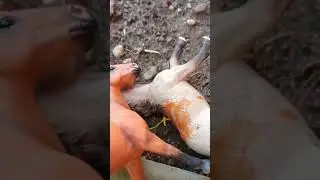 3 серия непобедимый