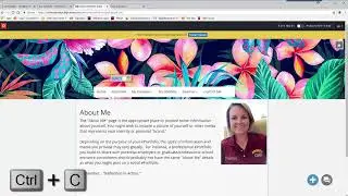 Adding Custom Colors in ePortfolio - Colorado Mesa University