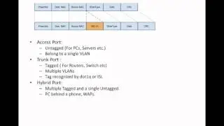 VLAN basics