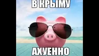 Паук снова в космосе