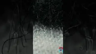 cómo funciona de cerca