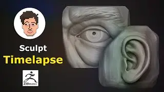 ZBrush anatomy study - Eye & Ear sculpt