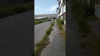 Типичный Петербург