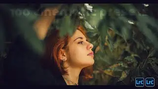 100 ARTISTIC CINEMATIC PRESETS OF 2021 - FREE LIGHTROOM CINEMATIC PRESET BUNDLE DOWNLOAD