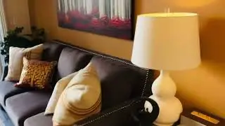 The apartment, very clean, nice. New!