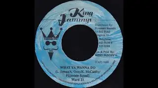 Ward 21 - What Ya Wanna Do (Bada Bada Riddim) (1998) {King Jammy's}