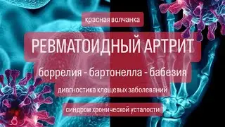 Тестирование культуры IGeneX для поддержки диагностики клещевых заболеваний.