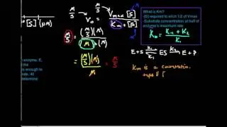 The Michaelis Constant, Km: What is it?