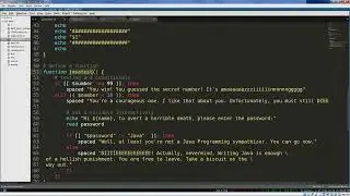 Bash Programming 7  Functions and Course Review