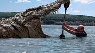 Топ СУЩЕСТВ, Которые ЖИВУТ Со Времен ДИНОЗАВРОВ!