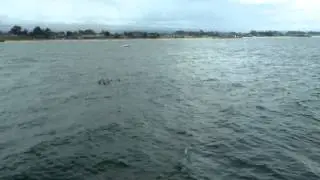 Santa Cruz.mp4