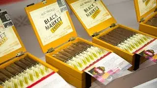 Monthly Spotlight: Alec Bradley
