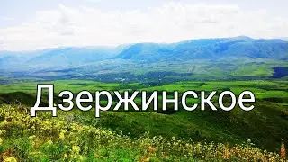 Дзержинское. Природа родного края.