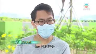 香港新聞 大學畢業生職位空缺按年減近四成 人力資源顧問指找工難-TVB News-20201026