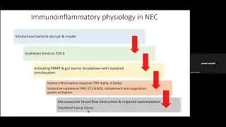 Necrotizing Enterocolitis Dr Preeti Solanki