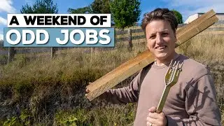 Fixing Fences for Council Inspection + Odd Jobs