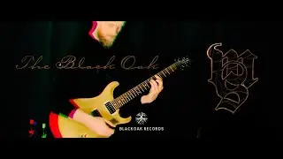 Markus Sigfridsson - The Black Oak [OFFICIAL VIDEO] #prsguitars  #plinix   @NeuralDSP