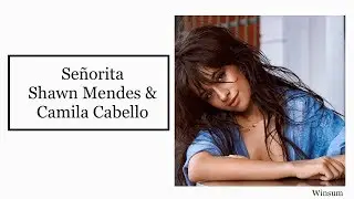 Shawn Mendes & Camila Cabello - Señorita (Lyrics)