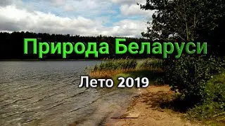 Природа Беларуси. Лето 2019.