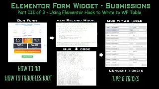 DIM DIY  Elementor Forms Widget Submissions  Part III  Using Elementor New Record Hook to Fix Issue