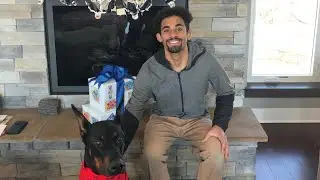 Remembering My Doberman: Revisiting His Favorite Spots with My Dogs