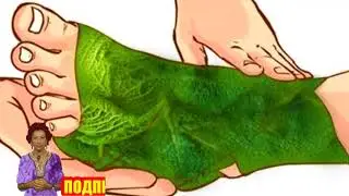 Horseradish is the only plant capable of pulling salt through the pores of the skin