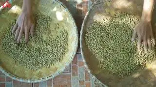 Our Coffee Promotional Video - Chinese Sub