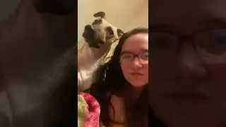 Me and my dog