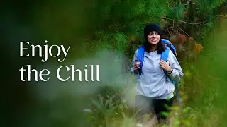 Munnar Tent Camping, Get Closer to Nature | Idukki | Kerala Tourism