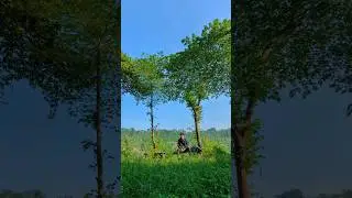 Google Pixel 6A | 4K 30fps 0,6 Ultrawide