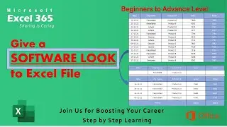 VBA Code to Give a Software Look of Your Excel File
