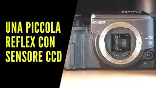 Olympus E-300, una reflex anomala dai colori stupendi