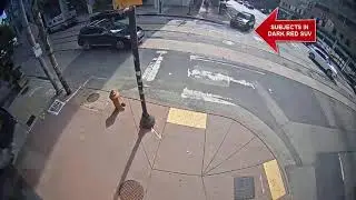 FBI Philadelphia: Armored Car Robbery in University City